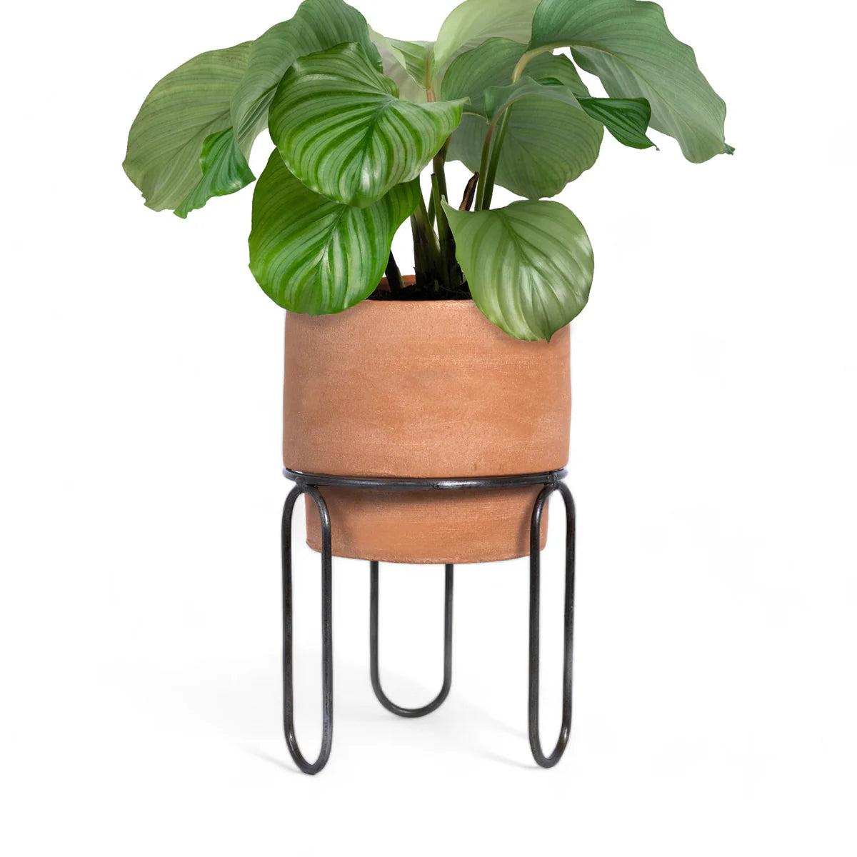 Jaro Medium Terracotta Planter