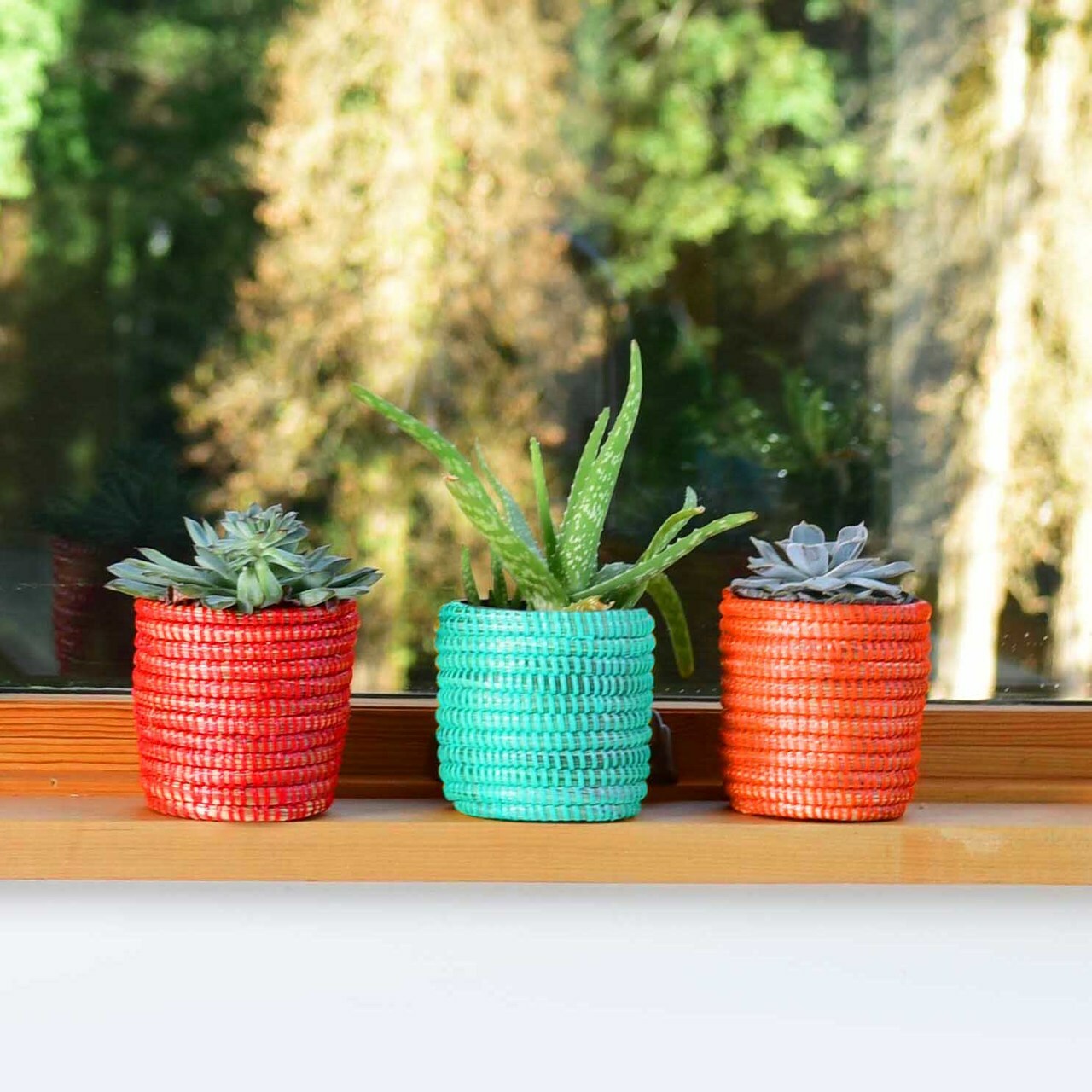 succulent mini basket planter turquoise, red and orange