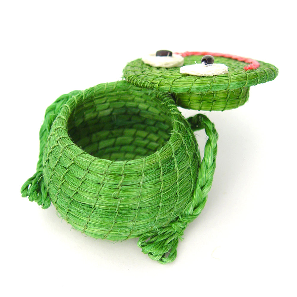 Freddy Frog Lidded Basket - Image 3